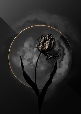 Dark Tulip Black and Gold
