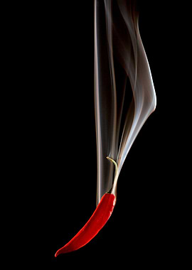 Comida. Pimenta quente 14