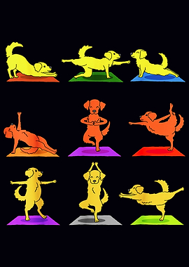 Dogs making Yoga Sport