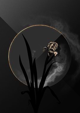 Dark Black and Gold Flower