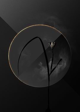 Dark Tulip Black and Gold