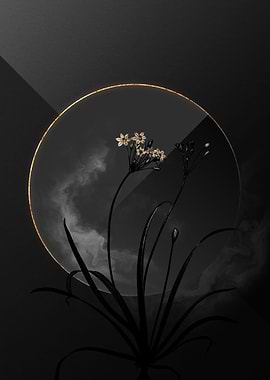 Dark Allium Shadow on Gold