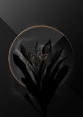 Dark Black and Gold Flower