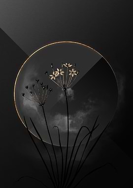 Dark Allium Shadow on Gold