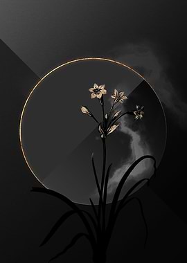 Dark Black and Gold Flower