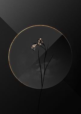 Dark Blue Pipe Black Gold