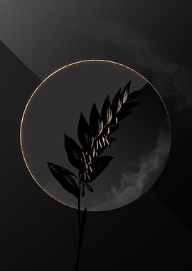 Shadow Solomons Seal Black