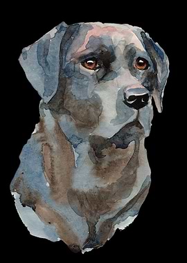Dog labrador painted