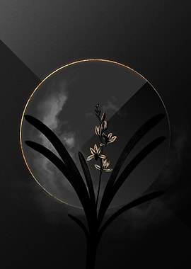 Dark Boat Orchid with Gold