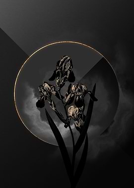 Black and Gold Floral Art