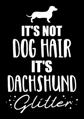 Dachshund