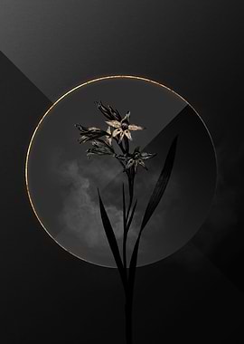 Black and Gold Floral Art