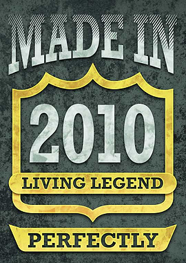 Made In 2010 Birthday Gift