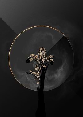 Iris Black and Gold Art