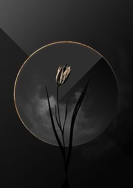 Tulip Black and Gold Art