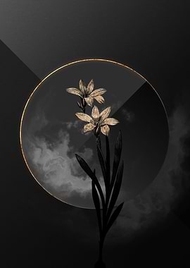 Lily Black and Gold Art