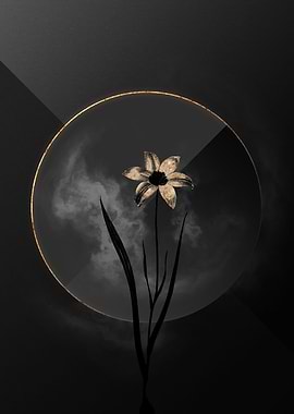 Tulip Black and Gold Art