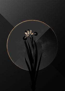 Iris Black and Gold Art