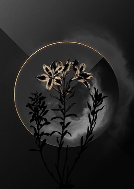 Lily Black and Gold Art