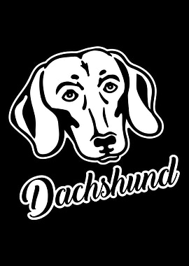 Dachshund