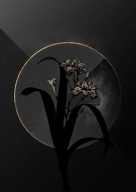Iris Black and Gold Art
