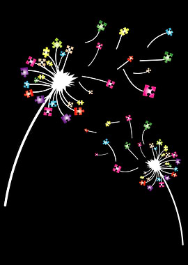 Dandelion Nature Floral