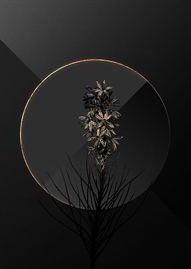 Dark Black and Gold Floral