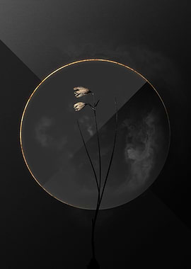 Black and Gold Botanical