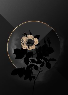 Dark Black and Gold Floral