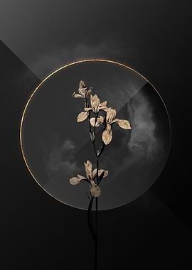 Dark Black and Gold Flower