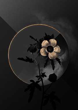 Dark Black and Gold Floral