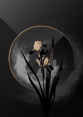 Black and Gold Botanical