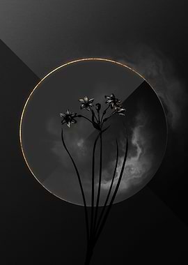 Dark Black and Gold Flower