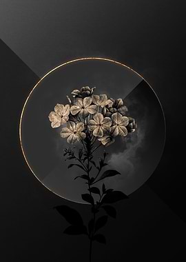 Dark Black and Gold Flower
