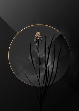 Dark Black and Gold Flower