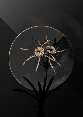 Black and Gold Botanical