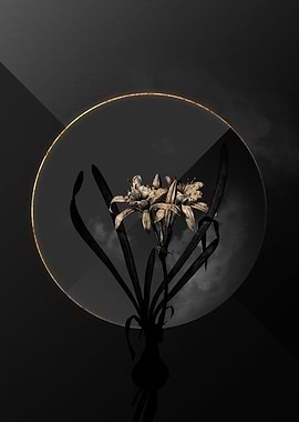 Dark Black and Gold Flower