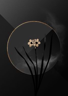 Dark Black and Gold Flower
