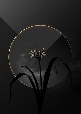 Dark Black and Gold Flower