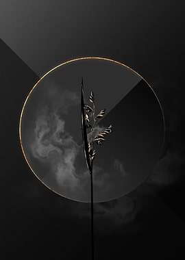 Dark Black and Gold Flower