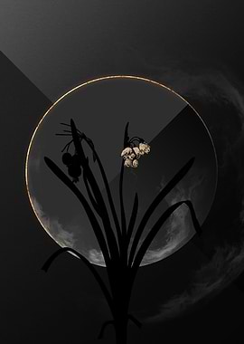 Black and Gold Botanical