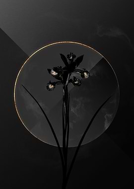 Black and Gold Botanical