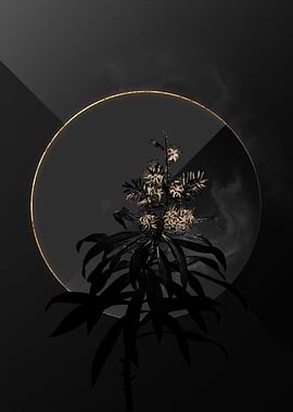 Dark Black and Gold Flower