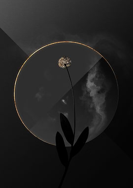 Dark Black and Gold Floral