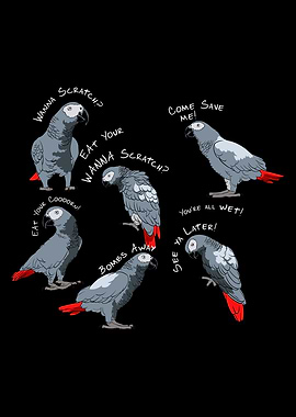 African Gray Parrot