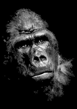 monkey black and white v18