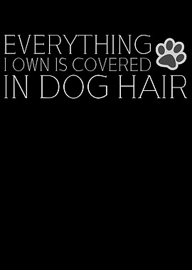 Covered In Dog Hair