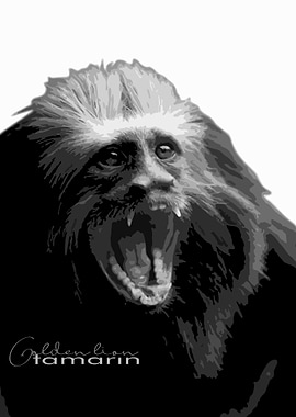 golden lion tamarin v12