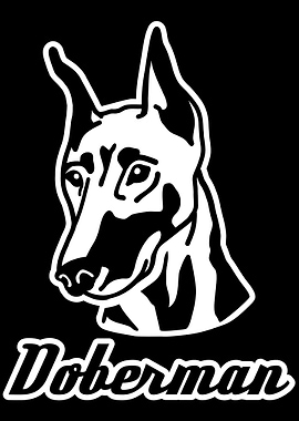Doberman