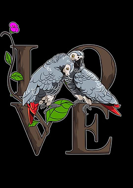 African Gray Parrot